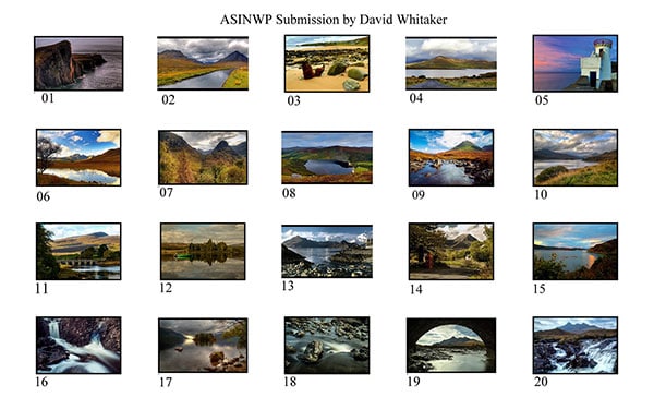 David-Whitaker-ASINWP-Panel