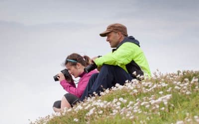 Club Outing – Saltee Islands (2015)