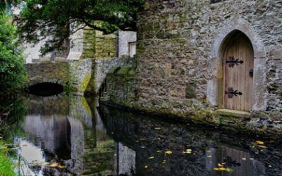 SWM November 2015 – Drimnagh Castle