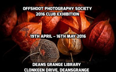 Club Event – Offshoot Annual Exhibition 2016 (19 April – 16 May)