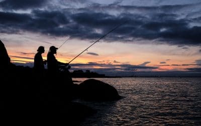 Summer Outing – Bulloch Harbour Silhouettes