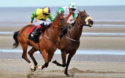 Club Outing – Laytown Races