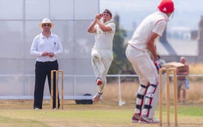 Club Outing – Cricket in Phoenix Park