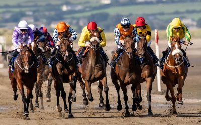 Club Outing – Laytown Races