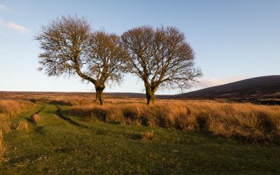 Club Outing – Sunset at Sally Gap