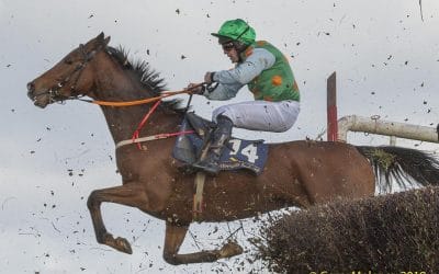 Club Outing – Tinahely Point to Point