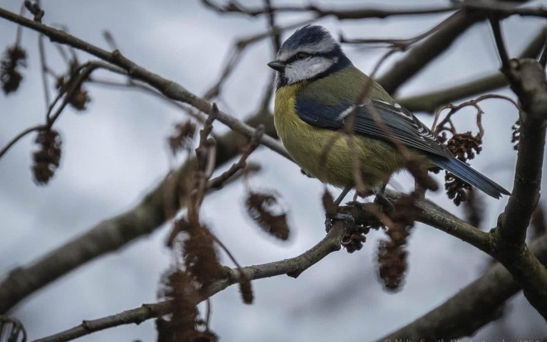 Club Outing – Nature Reserve Newcastle