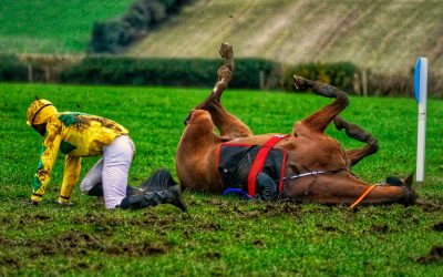 Club Outing – Tinahely Point to Point