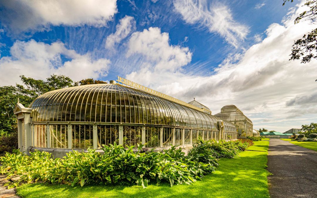 Club Outing – Glasnevin National Botanic Gardens