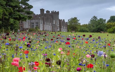 Club Outing – Ardgillan Castle and Skerries Harbour