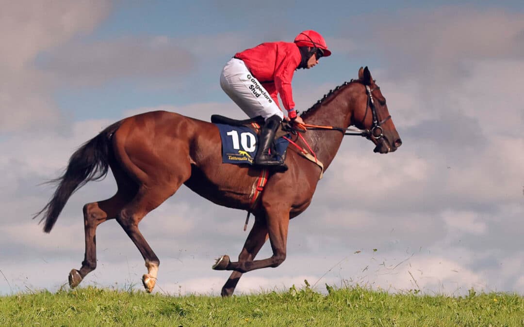 Club Outing – Oldcastle Point-to-Point