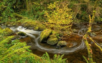 Club Outing – Autumn in Devil’s Glen