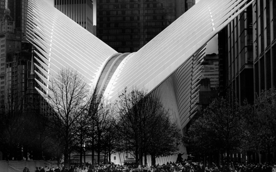 Club Competition – Architecture (Printed)